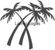 PALMTREE.jpg
