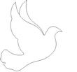 DOVE3.jpg