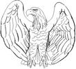 EAGLE2.jpg