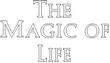 MAGIC.jpg