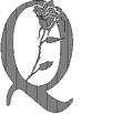 QROSE.jpg
