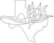 TEXAS2.jpg