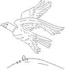 EAGL4.jpg