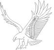 EAGL8.jpg