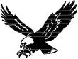 EAGLE3.jpg