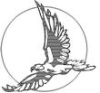 EAGLE6.jpg