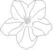 FLOWER.jpg