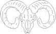 RAM1.jpg