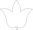 TULIP1.jpg