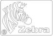 ZEBRA1.jpg