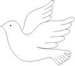 DOVE1.jpg