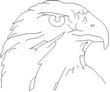 FALCON.jpg