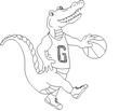 GATOR.jpg