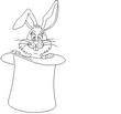 RABBIT.jpg