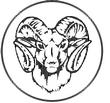 RAM.jpg