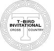 TBIRD.jpg