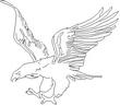 EAGLE1.jpg