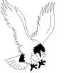 EAGLE6.jpg