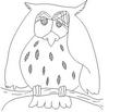 OWL.jpg