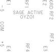 SAGE1.jpg