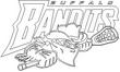 BANDITS2.jpg