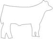 COW.jpg