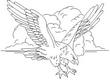 EAGLE10.jpg