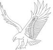 EAGLE22B.jpg