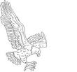 EAGLE5.jpg