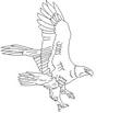 EAGLE9.jpg