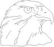 FALCON3.jpg