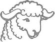 LAMB.jpg