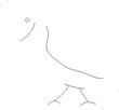 QUAIL1.jpg
