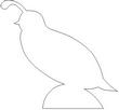 QUAIL2.jpg