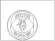 SAAB1.jpg