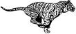 TIGR96.jpg