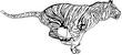 TIGR963.jpg