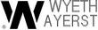 WYETH01.jpg