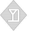 YD3.jpg