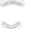 BADGE3.jpg