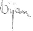 BIJAN.jpg