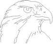 FALCON.jpg