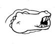 GATOR2.jpg
