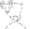 RAM1.jpg