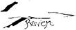 RAV1.jpg