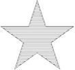SGSTAR.jpg