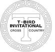 TBIRD.jpg