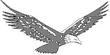 EAGLE.jpg