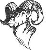 RAM.jpg