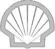 SHELL3.jpg